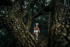 BIB: 
                            <button type="button" onclick="openModal(25678270)" class="btn btn-primary btn-sm float-right btn-popup" data-toggle="modal" data-target=".modal-high-quality">
                        <i class="fas fa-shopping-cart"></i> Add to Cart
                    </button>
                                            <button type="button" onclick="isThisMe(25678270, true)" class="btn btn-success btn-sm float-right btn-popup btn-isme hidden" data-toggle="tooltip" data-placement="bottom" title="นี่คือรูปของคุณใช่ไหม คลิกที่นี่เพื่อเอาเข้าอัลบั้ม">
                        <i class="fas fa-plus"></i> Add to album
                    </button>
                    <button type="button" onclick="isThisMe(25678270, false)" class="btn btn-warning btn-sm float-right btn-popup btn-isnotme hidden">
                        <i class="fas fa-ban"></i> Remove from album
                    </button>